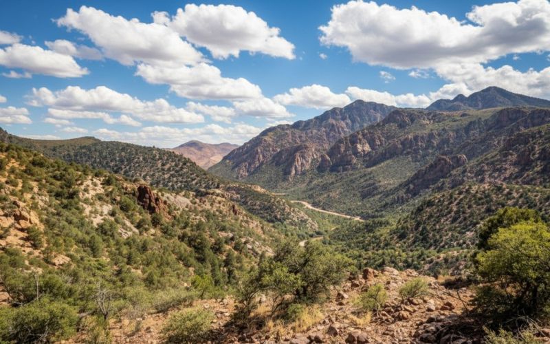 Best Tub To Shower Conversion pros in Queen Creek, AZ